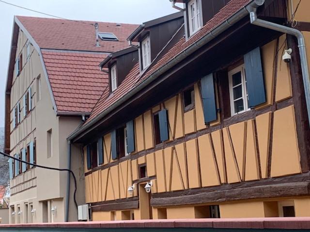 Coeur D'Alsace Colmar Vignobles Ouest Avec Terrasses Villa Wintzenheim Ngoại thất bức ảnh
