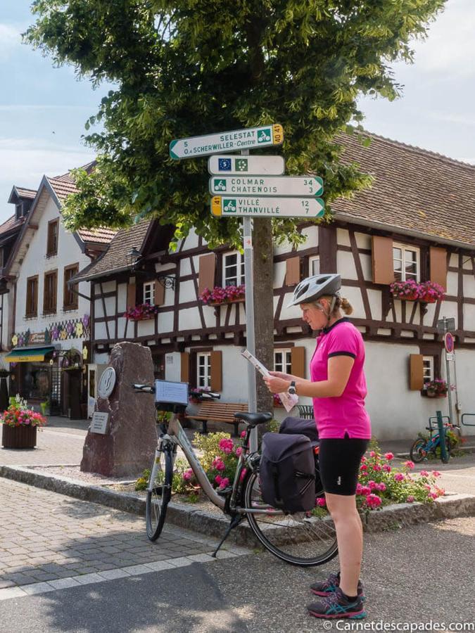 Coeur D'Alsace Colmar Vignobles Ouest Avec Terrasses Villa Wintzenheim Ngoại thất bức ảnh
