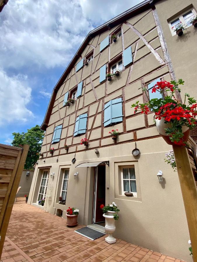 Coeur D'Alsace Colmar Vignobles Ouest Avec Terrasses Villa Wintzenheim Ngoại thất bức ảnh