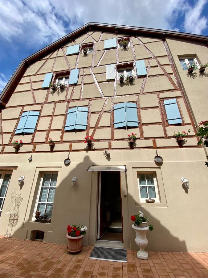 Coeur D'Alsace Colmar Vignobles Ouest Avec Terrasses Villa Wintzenheim Ngoại thất bức ảnh