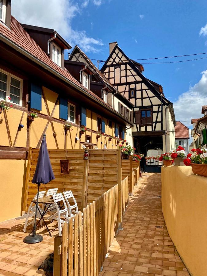 Coeur D'Alsace Colmar Vignobles Ouest Avec Terrasses Villa Wintzenheim Ngoại thất bức ảnh