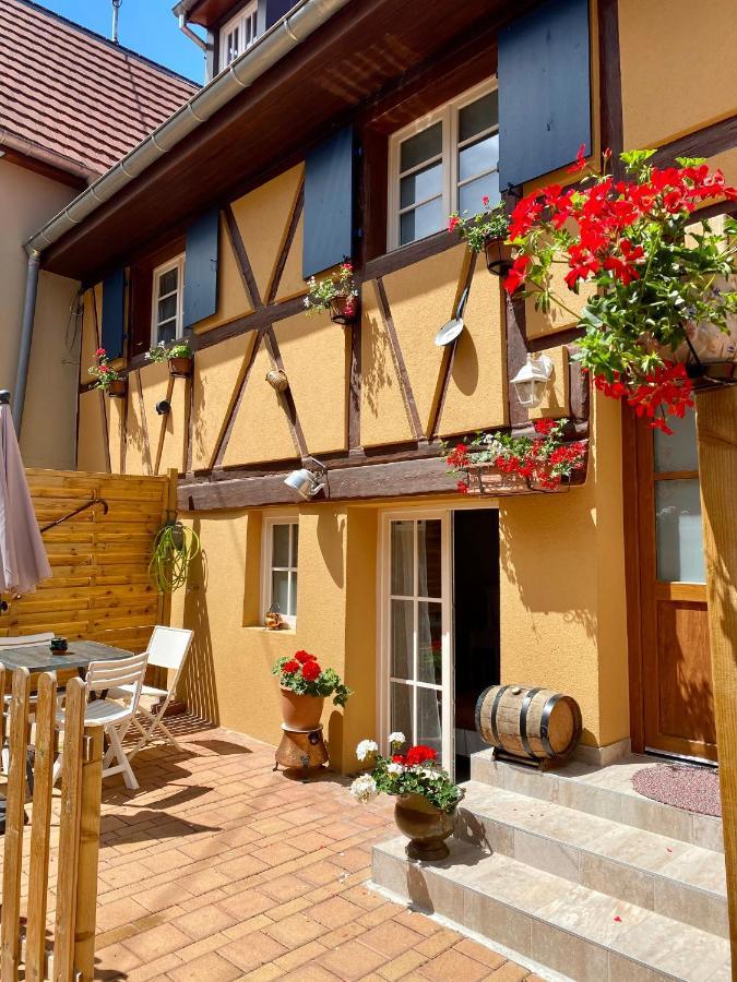 Coeur D'Alsace Colmar Vignobles Ouest Avec Terrasses Villa Wintzenheim Ngoại thất bức ảnh