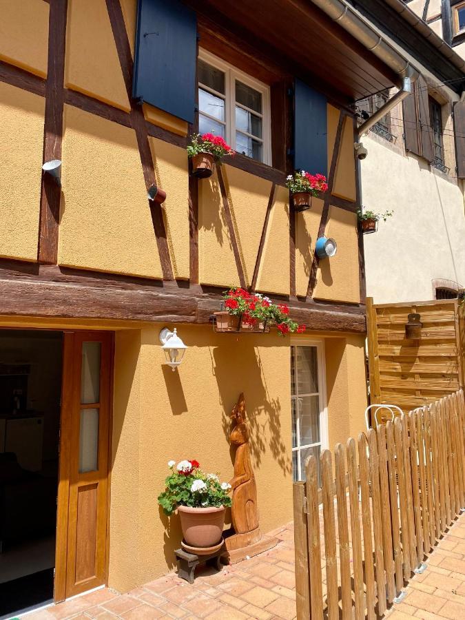 Coeur D'Alsace Colmar Vignobles Ouest Avec Terrasses Villa Wintzenheim Ngoại thất bức ảnh