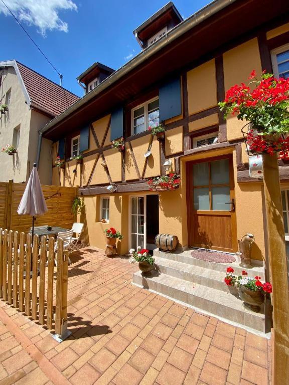 Coeur D'Alsace Colmar Vignobles Ouest Avec Terrasses Villa Wintzenheim Ngoại thất bức ảnh