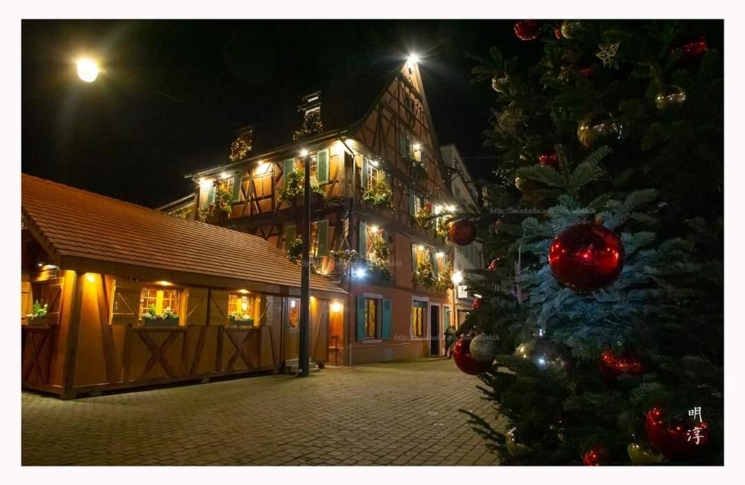 Coeur D'Alsace Colmar Vignobles Ouest Avec Terrasses Villa Wintzenheim Ngoại thất bức ảnh